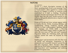 
Carregar imagem no visualizador da galeria, Sample Last Name Origin PDF — The Novak Family — dense Standard layout, coat of arms left, surname history right — Herald Lab SAMPLE